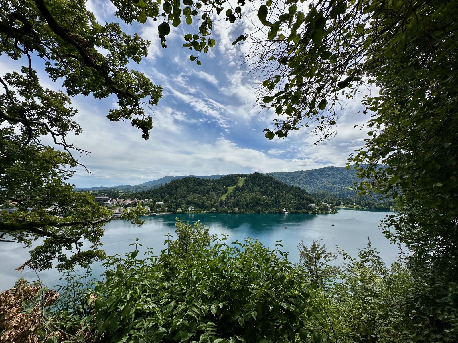 Tree branches frame a lake with buildings and mountains in the background.
