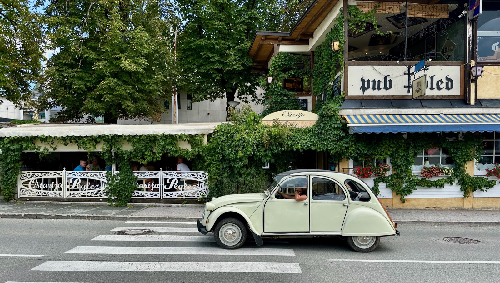 A cream car on a crosswalk in front of a pub with ivy and flowers.