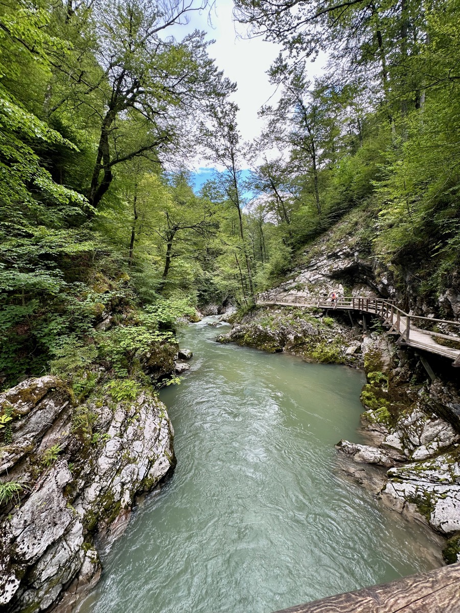 Wooden walkway beside a river in a forested gorge.