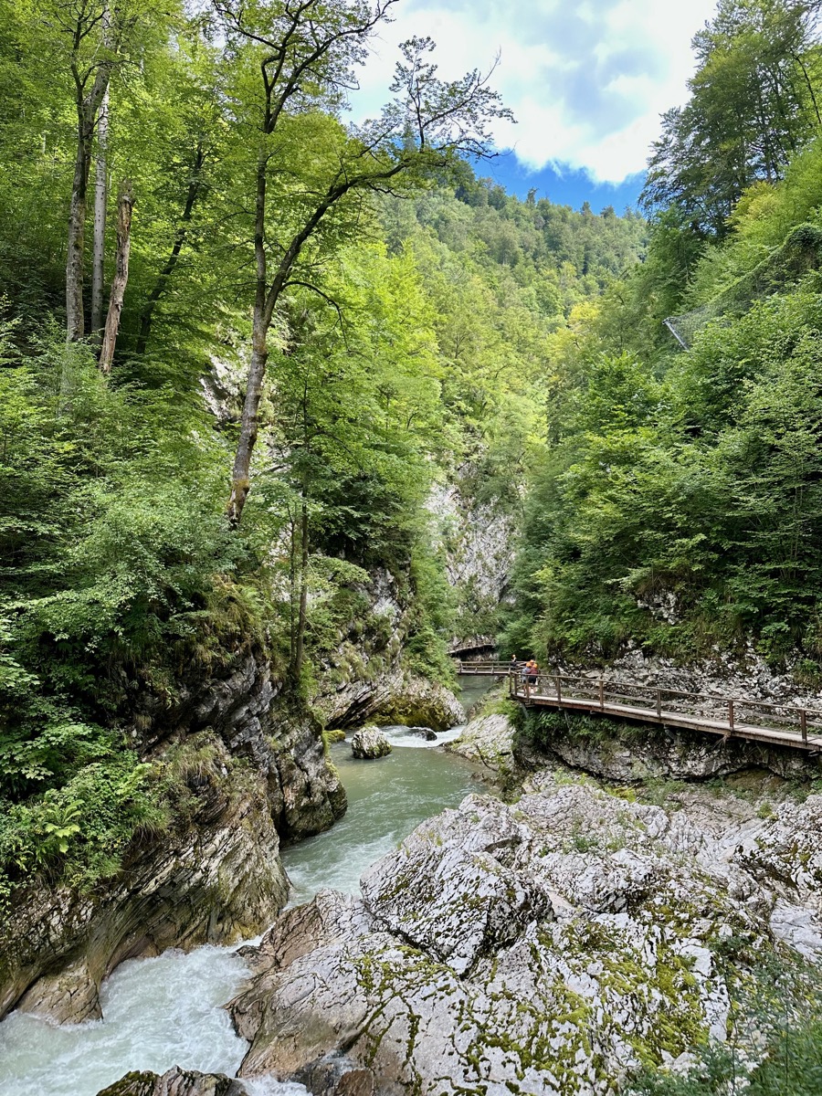 Wooden walkway over river in forested gorge with rocky walls.