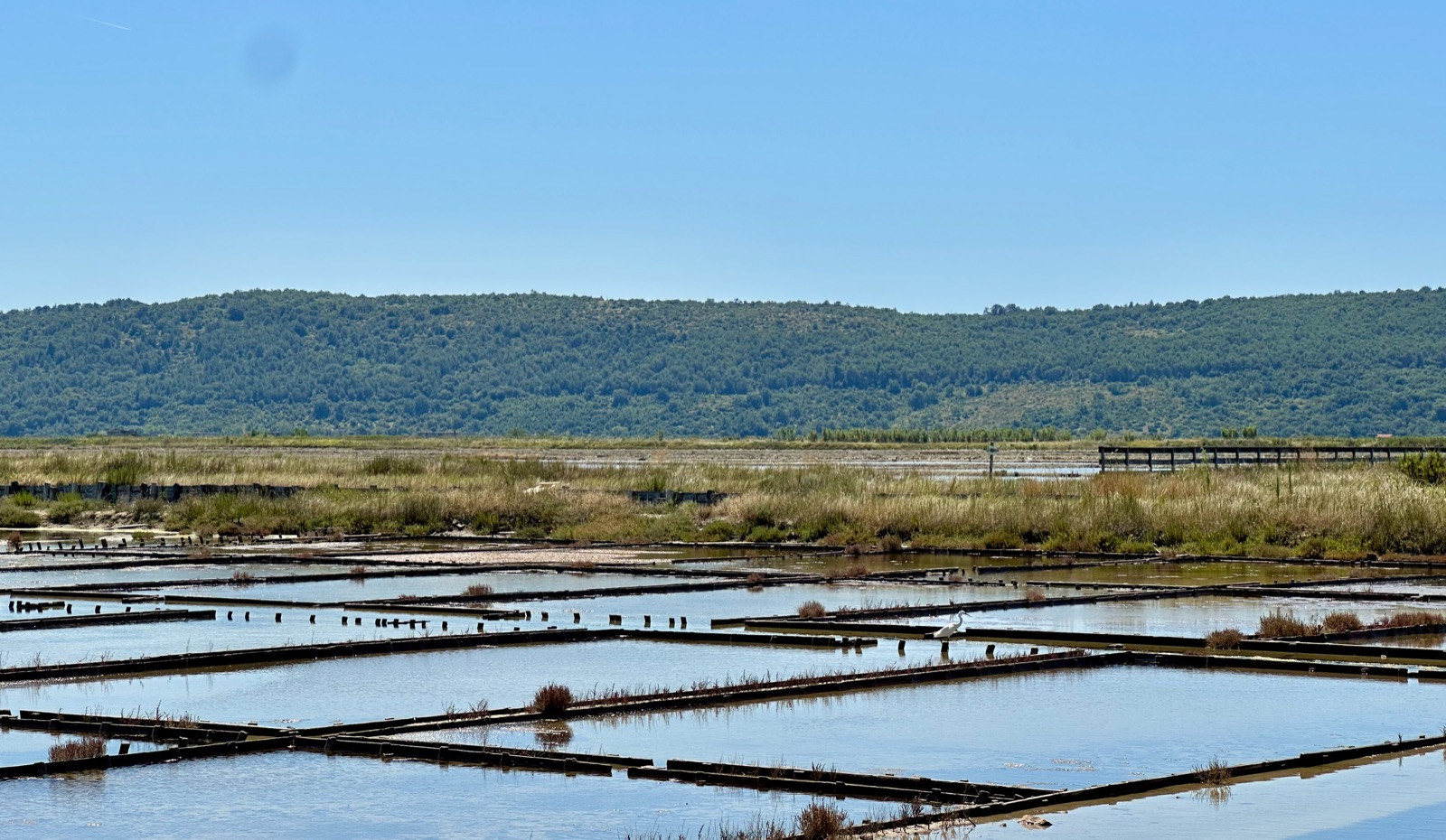 Rectangular pools of water with wooden walkways and grassy banks under a blue sky.