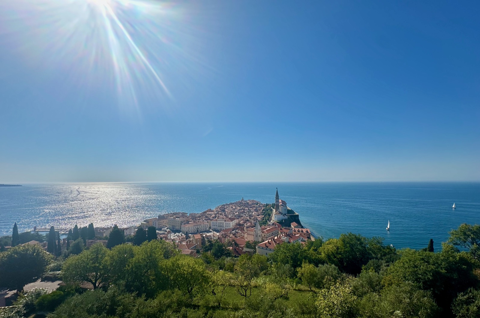 A coastal town with red roofs, trees, and sailboats under a blue sky.