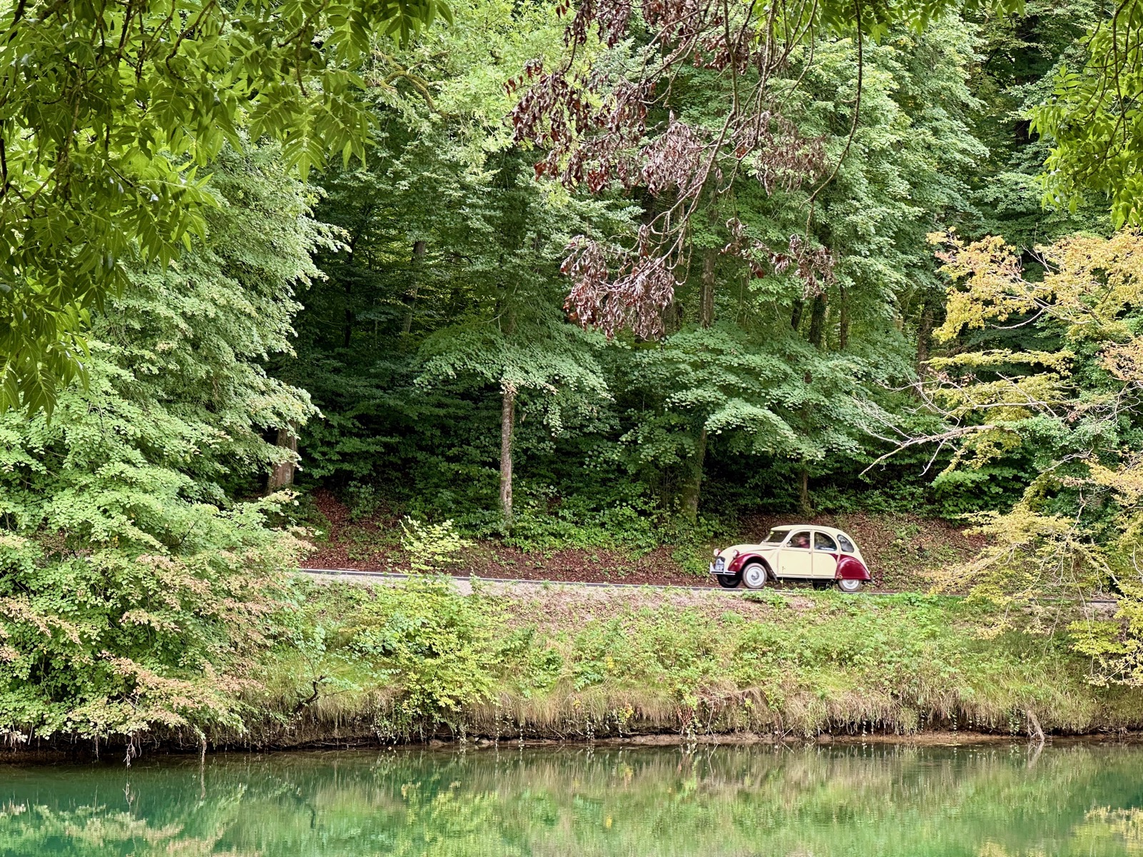 A Citroen 2CV driving along the side of a river, with a forest in the background.